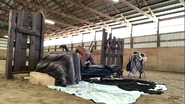 Cowboy Dan India, Sloan Rider Si Penunggang Liar, Coach Cardher Si Pengendali, Dan Randy Denmark Yang Bikin Basah.